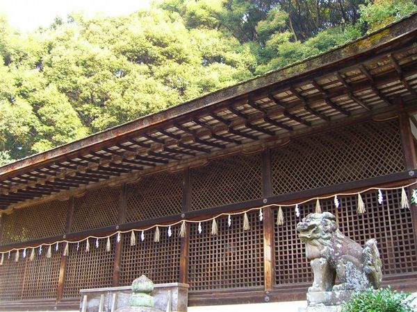 宇治上神社建於1060年左右的本殿，其外格子狀的覆屋包覆著內殿，目前被證實為日本現存最古老的神社建築