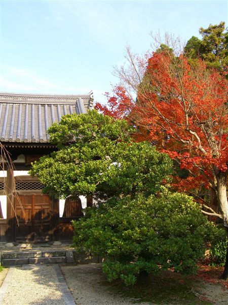 平等院一隅。1052年道真之子賴通將別墅改為寺院，以打造西方極樂淨土為目標