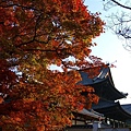 東福寺的禪堂及楓紅。禪堂重建於1347年，是中世紀保存至今，日本最古且最大的禪堂