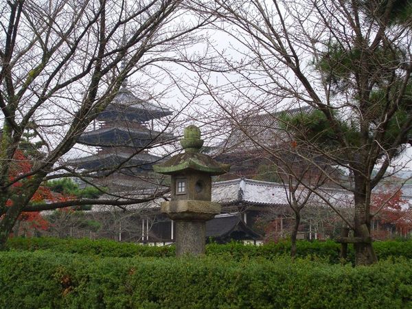 離開東院伽藍後，我們再回往西行，前去探訪剛剛錯過的景點。途中再拍美麗的五重塔及金堂