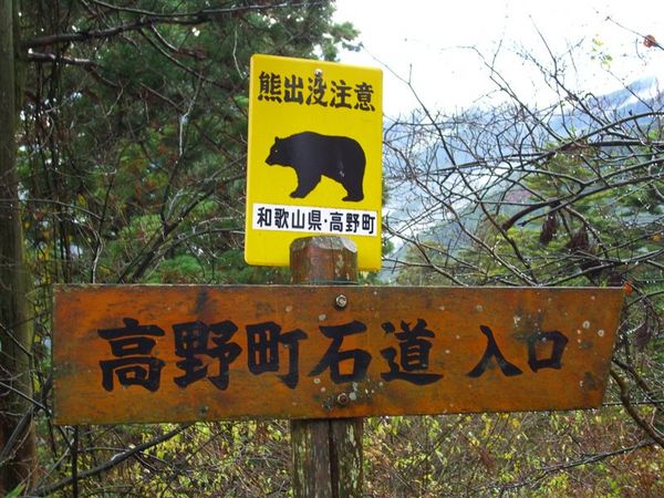 一旁還有熊出沒注意的標語，老實說，我們還真想跟熊打個照面咧(真是不知死活)
