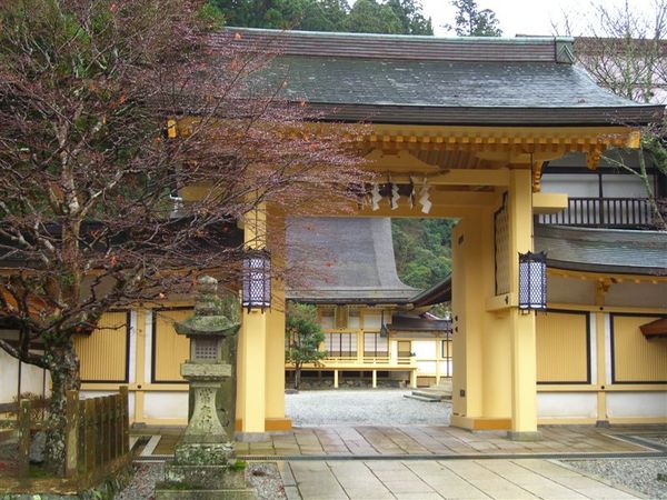 高野山的路旁幾乎都是寺院。其中有52間寺院開放宿坊讓民眾住宿，可與僧人一同做早課、寫經等，體驗修行生活