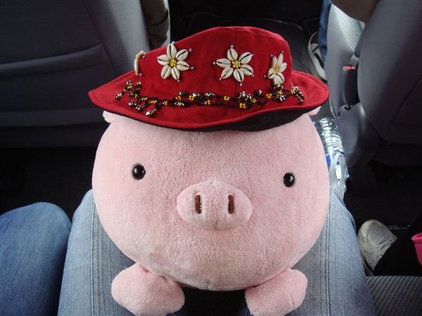 上車後，要請豬豬當model啦！這是二舅媽買的帽子