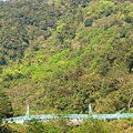 回望鳩澤橋。天氣好，景色顯得更美了