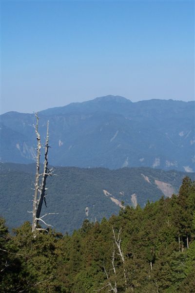 一旁的山景與枯木構成一幅名山美景