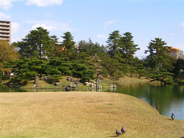 栗林公園一景，真美，天氣也很好。栗林公園在全日本可是排名第五美的庭園(第一名的我們後幾天會去)