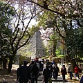 從車站緩步上坡前進松山城。此城為加藤嘉明始建於1602年，至1635年的松平定行才擴建成現有的宏大規模