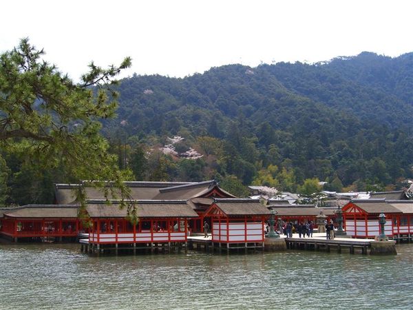 再往前，嚴島神社就在眼前。好像浮在海上一樣，好美