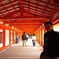 我在嚴島神社的東迴廊。嚴島神社的迴廊寬約4公尺