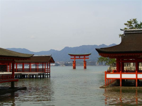 從神社間望向海上大鳥居，太美了，我好愛這張照片