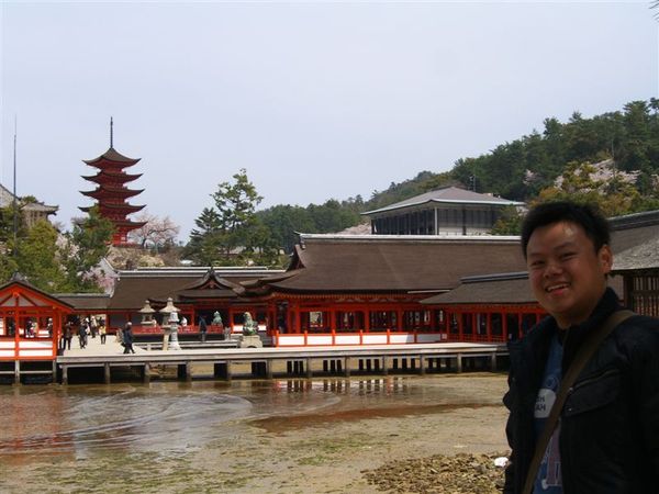 我與嚴島神社(海水已經退了一半)