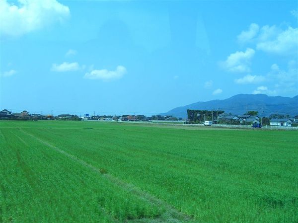 從廣島出發後3個半小時，我們來到了島根縣的出雲市，這邊有一望無際的麥田