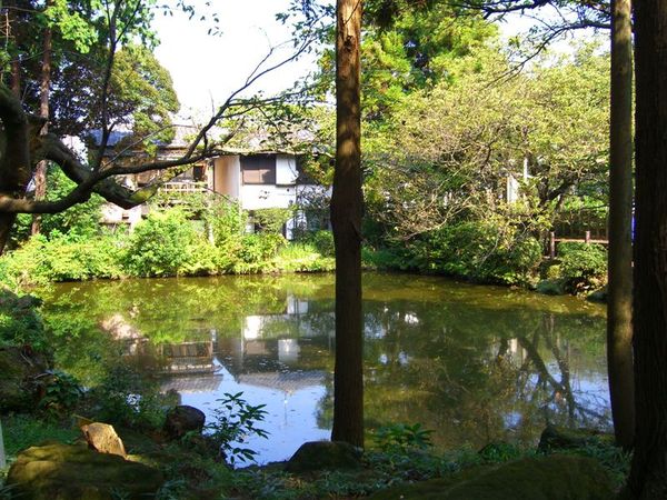 步出円覺寺的總門後，穿越鐵道旁可見一池塘-白鷺池，這裡仍為円覺寺的寺境