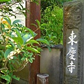 之後我們沿著鎌倉街道南行，經過了1285年由北条時宗夫山-覺山尼，為拯救受苦女性而獲得勅許所建的的東慶寺