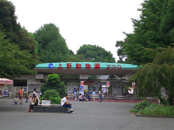 此為創立於1882年的上野動物園，是日本第一座的動物園，鎮園之寶為熊貓。聽說可看性普普，所以我們沒進去