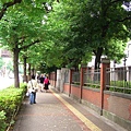 沿著本鄉通漫步約10分鐘，日本第一學府-東京大學最主要的本鄉校區已近在咫尺