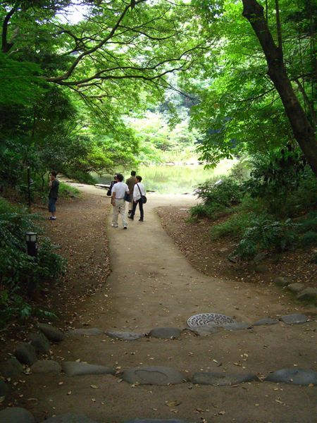 來到東大境內知名的三四郎池，原為前田家的庭園池塘，名為育德園心字池