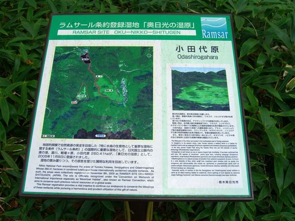 包括戰場之原、小田代原等景觀以奧日光濕原之名，成為Ramsar國際條約登錄的濕地