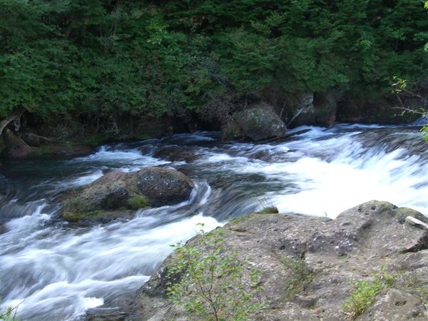 沿著步道往下，一旁的湯川蓄勢待發