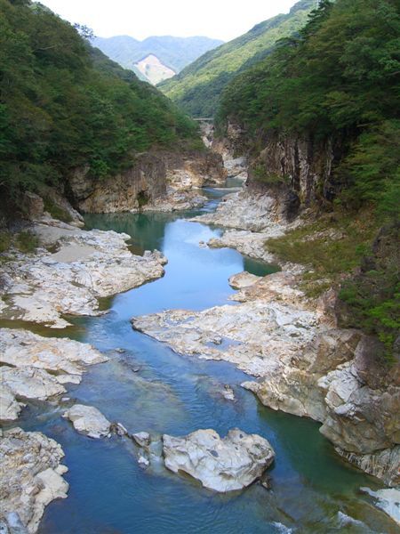 忍不住再拍一張。龍王峽也是著名的賞楓名所，秋天時滿山楓紅，光用想像的就覺得很美