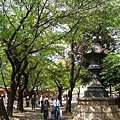 靖國神社境內櫻花樹林立，是首屈一指的賞櫻名所，東京宣布開花的標準木也位於此