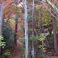 湯泉神社旁還有古道通往愛宕山頂(高463公尺)，不過我們還是乖乖在這看風景就好