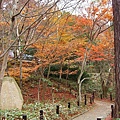 瑞寶寺公園一景