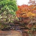 一旁絕美的吉城川及楓紅。741年聖武天皇下令在全國興建國分寺，金鐘寺便改為大和國分寺，寺名改稱金光明寺