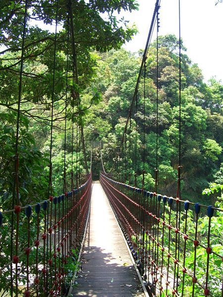 過了古樸的吊橋即是濶瀨古道，可通往黑龍潭
