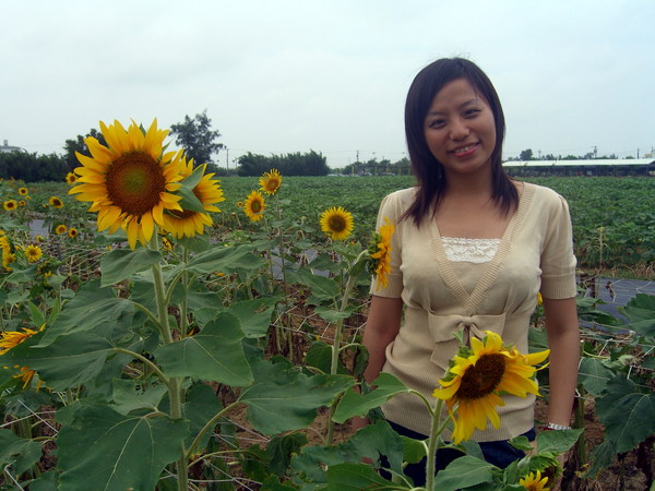 換老妹(因為花間偶有蜜蜂飛舞，所以她不敢與花站太近)