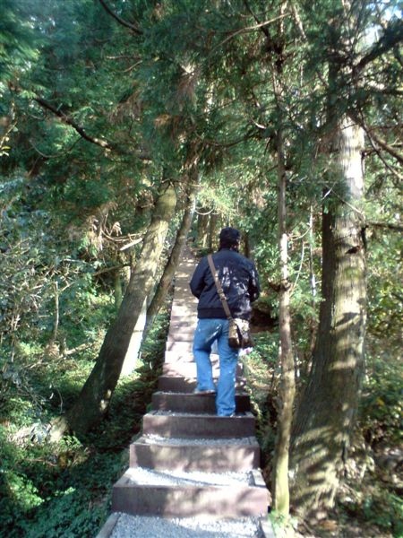 我們循著山中步道要前往擎天崗，穿越這松樹相迎的山間石梯，瀰漫著北歐風情，真的很美(不過我的背影被偷拍了)