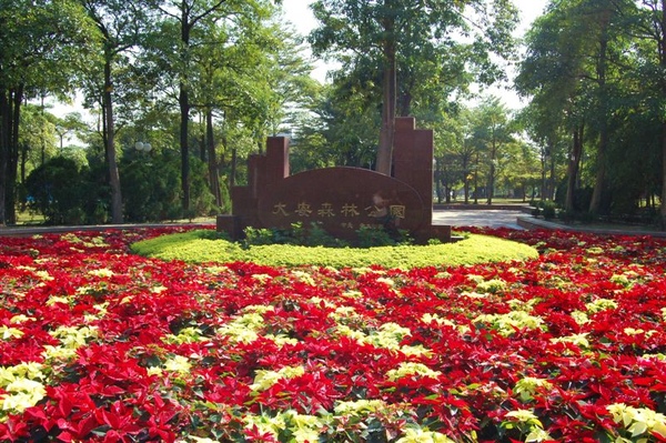 大安森林公園的園名碑旁被聖誕紅包圍。花展其實是明天才開展，不過我們偷跑一天先來看花