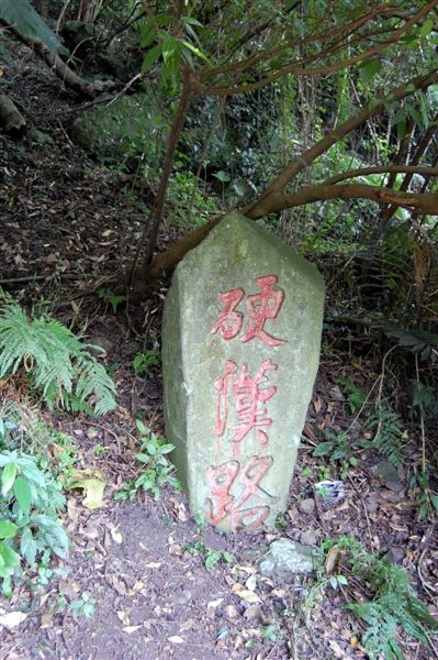 離開凌雲禪寺後，我們準備循一旁的硬漢嶺步道登上觀音山