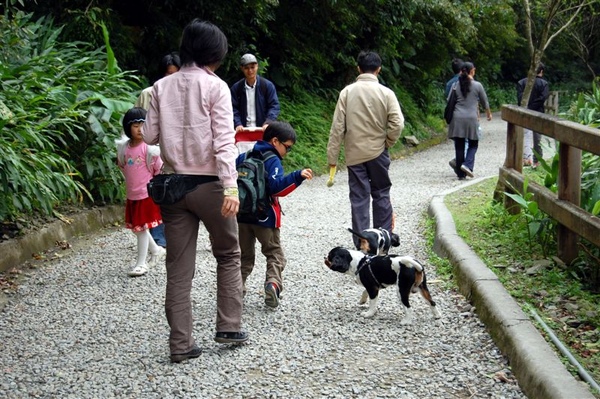 步道上的遊人與狗兒