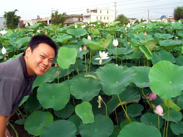 臉大的我再來與蓮花合影