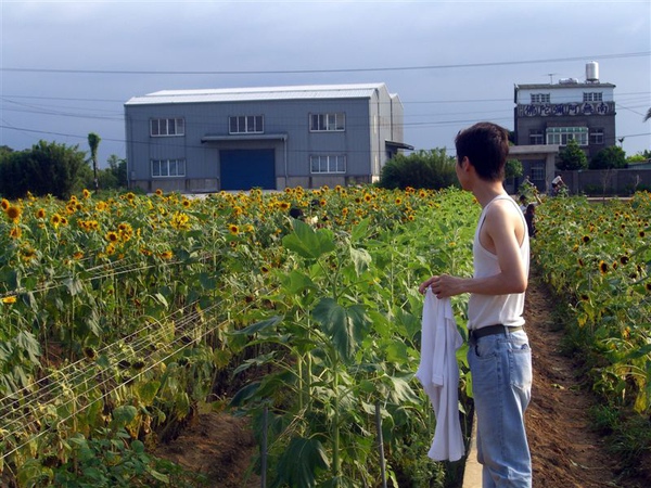 死瘦子與太陽花田