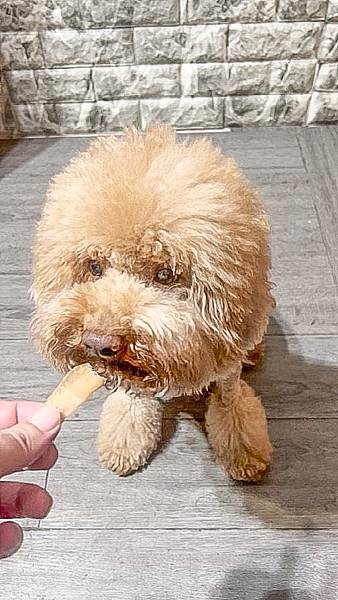 S__66142231 S__66142231