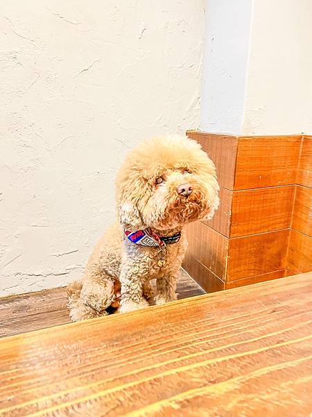 S__90062878 S__90062878