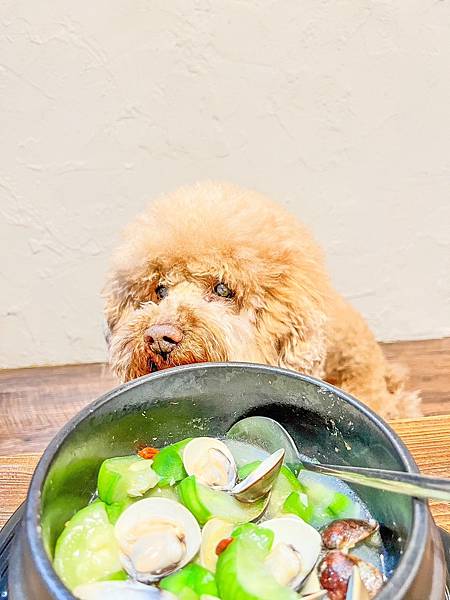 S__90062886 S__90062886