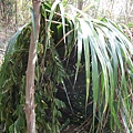DSCF1009.JPG