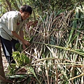 DSCF1024.JPG