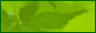 LogoMaker(21).gif LogoMaker(21).gif