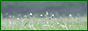 LogoMaker(23).gif LogoMaker(23).gif
