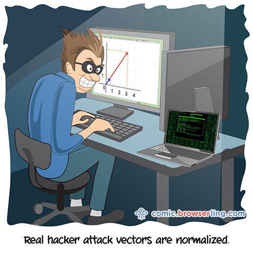 Attack Vectors - Programming Joke