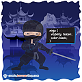 Ninja - Web designer Joke