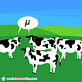 Cows - Programming Joke