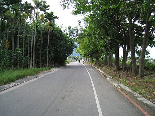 關山自行車道一景10.jpg