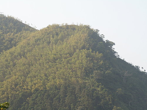 壯麗的風景 令妳忘記騎車的辛勞.jpg