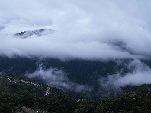 8分鐘後已經佈滿了山頭.jpg