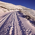 雪景4